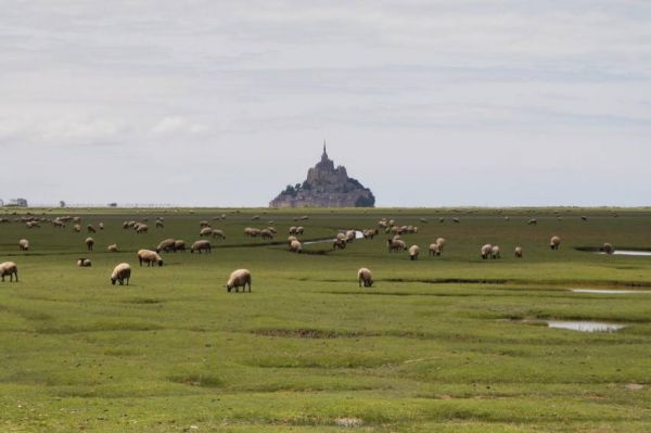 “Grands Reportages” : « Le business des produits régionaux », samedi 21 mai sur TF1