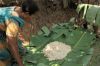 « La folle aventure du chocolat » mardi 20 décembre 2022 sur France 5 (vidéo)