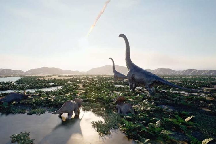 "La fabuleuse histoire des oiseaux, des dinosaures parmi nous" sur France 5 jeudi 22 octobre 2026 (vidéo)