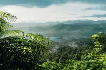 « Les 5 vies de la Terre » Les plantes / L&#039;homme sur France 5 jeudi 26 septembre 2024 (vidéo)