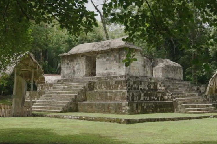 "Les cités Mayas abandonnées" sur RMC Découverte mercredi 18 janvier 2023