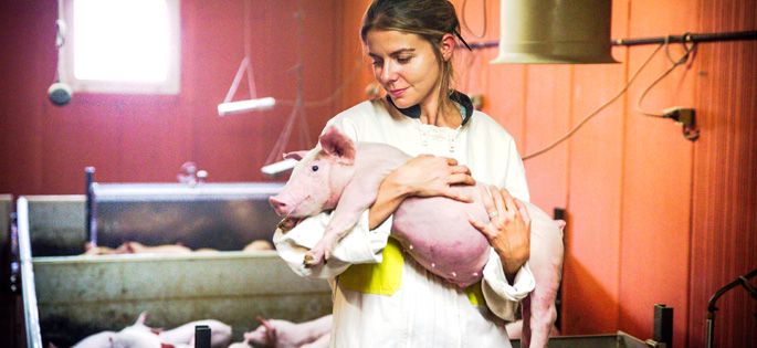 1ères images du doc Infrarouge avec l&#039;emmerdeuse : “Une vie de cochon” mardi sur France 2 (vidéo)