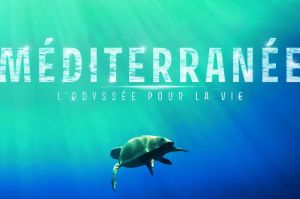 « Méditerranée, l&#039;Odyssée pour la vie » : série documentaire de Frédéric Fougea à suivre sur France 2 à partir du 12 avril