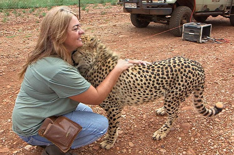 « Les sauveurs des animaux sauvages », mardi 4 mai sur C8