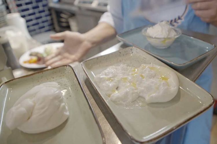 "Mozzarella, une vaste bufflonnerie ?" sur France 5 mardi 24 mai 2023 - Vidéo