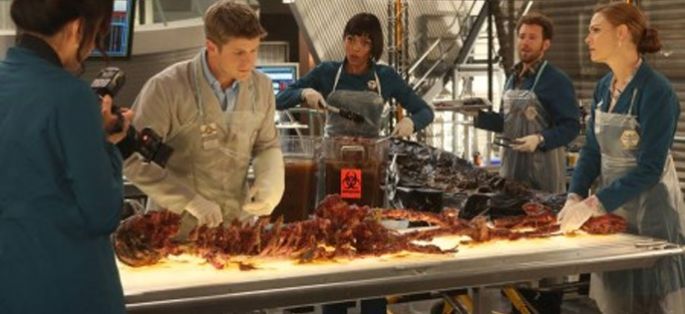 La série “Bones” séduit les ménagères de moins de 50 ans sur M6