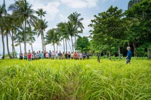 “Koh-Lanta, le totem maudit” : 2ème épisode mardi 1er mars sur TF1