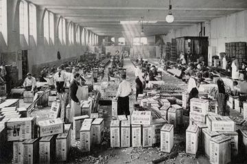 &quot;La prohibition américaine, une aubaine française&quot; racontée par Philippe Torreton sur France 5 dimanche 19 janvier 2025