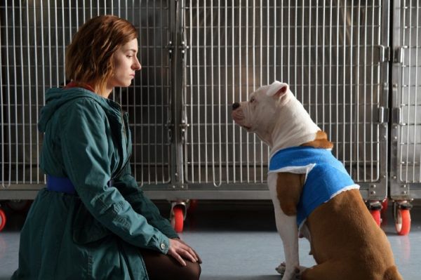 "Blanca" : Résumé des épisodes 7 &amp; 8 diffusés sur M6 samedi 28 janvier 2023