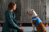 &quot;Blanca&quot; : Résumé des épisodes 7 &amp; 8 diffusés sur M6 samedi 28 janvier 2023