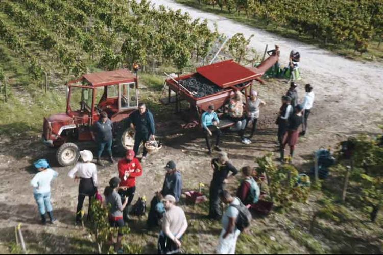 “La ligne bleue” : « Les raisins de la misère », jeudi 14 octobre sur France 3