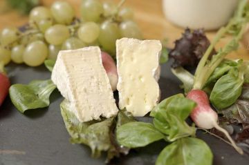 "Le camembert nous ouvre sa boîte" sur France 5 mardi 2 mai 2023 - Vidéo