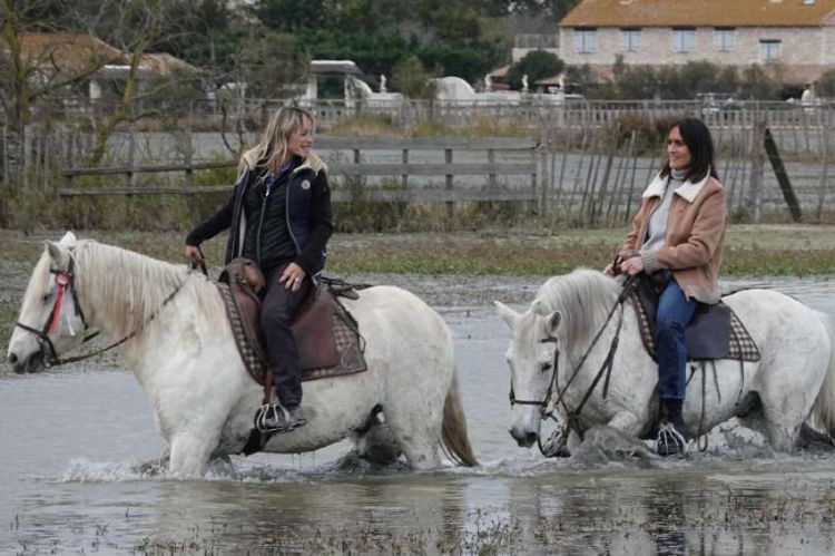 “Faut pas rêver” : « Camargue, beauté sauvage », mercredi 11 mai sur France 3 (vidéo)