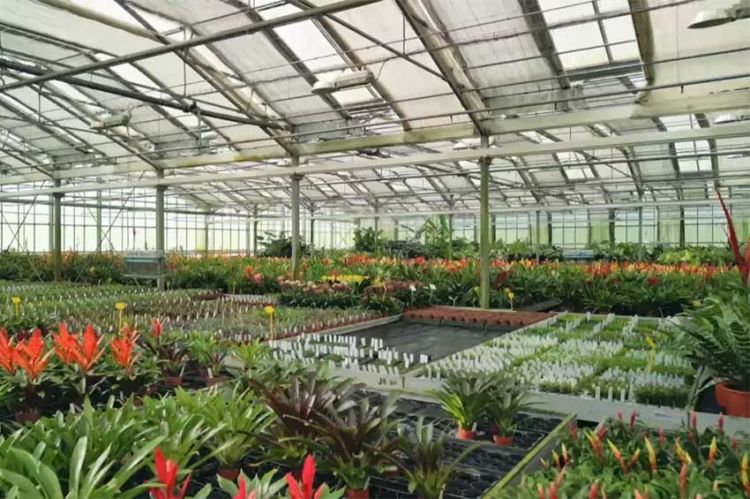 "Le jardinage, ça ratisse large" : enquête sur le business de nos jardins sur France 5 mardi 22 avril 2025