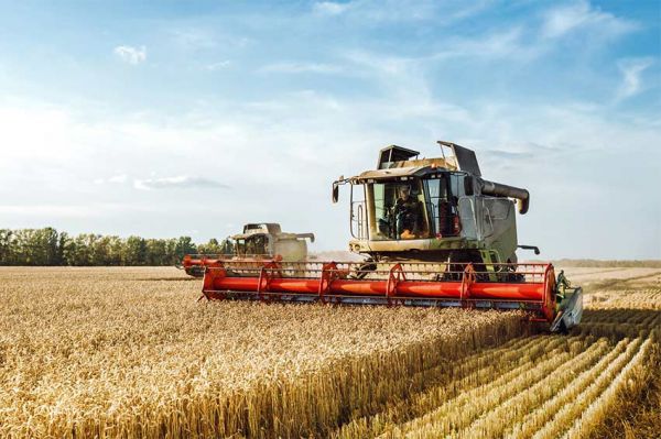 &quot;Familles d&#039;agriculteurs : au plus près de leurs vies&quot; : 3ème épisode jeudi 23 mars 2023 sur RMC Story