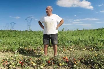 "Pas de repos pour Marco", le combat quotidien d'un cultivateur à revoir sur France 3 lundi 5 janvier 2026