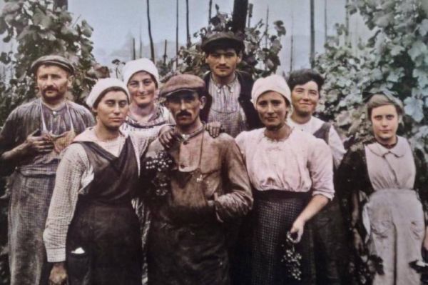 « L'épopée des vignerons » d'Emmanuelle Nobécourt, mercredi 7 septembre sur France 3