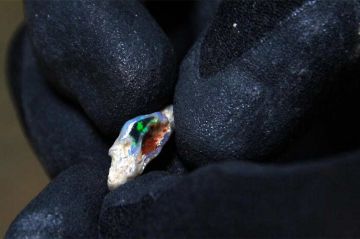 "Chercheurs d'opale" saison 6 : les épisodes 3 &amp; 4 sur RMC Découverte dimanche 16 avril 2023