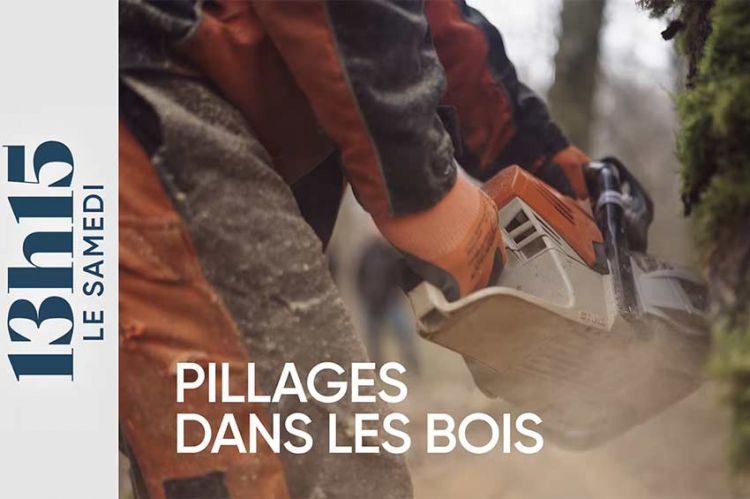 "13h15 le samedi" : Pillages dans les bois, enquête sur un trafic qui prend de l'ampleur ce 5 avril 2025 sur France 2