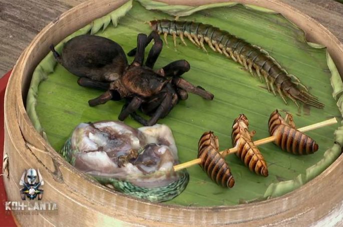 12ème épisode de &quot;Koh-Lanta&quot; mardi 20 mai 2025 sur TF1, les destins liés... (vidéo)