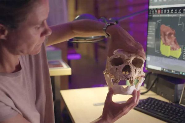 « Tautavel : vivre en Europe avant Néandertal », portrait de l'Homo heidelbergensis sur France 5 jeudi 28 novembre 2024