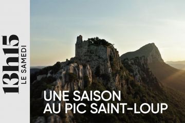 &quot;13h15, le samedi&quot; : « Une saison au pic Saint-Loup » ce 4 novembre 2023 sur France 2
