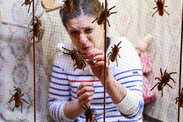 "Fort Boyard" : Lucie Bernardoni face aux mygales dans la maison de poupées, samedi soir sur France 2 (vidéo)