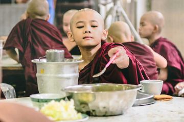 &quot;L&#039;adieu à la viande&quot;, la grande histoire des végétariens sur Arte samedi 22 novembre 2025 (vidéo)