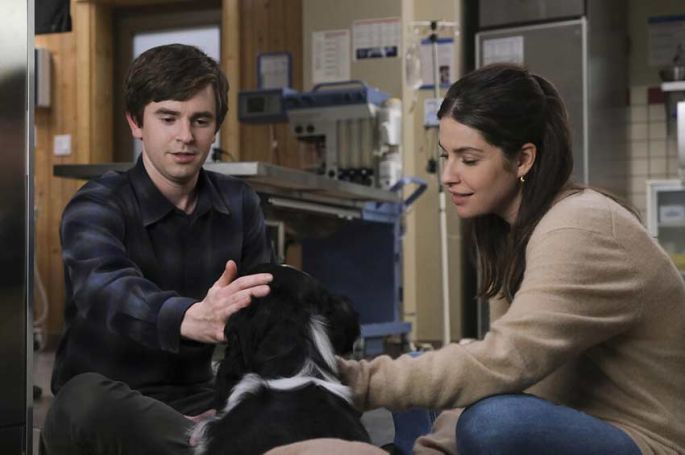 &quot;Good Doctor&quot; saison 6 : les épisodes 11 à 13 diffusés sur TF1 mercredi 20 septembre 2023