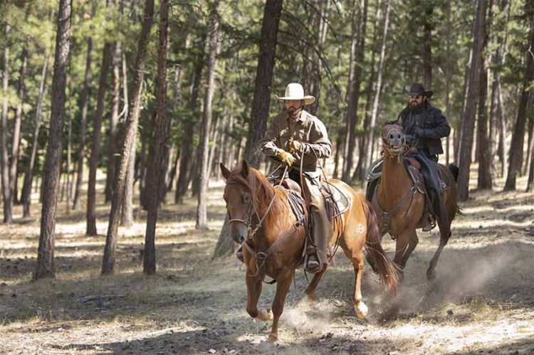 “Yellowstone” : la saison 2 diffusée sur TMC à partir du 14 juillet (vidéo)