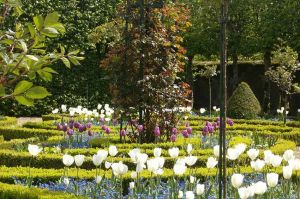 “Côté Jardins” à Vaux-le-Vicomte avec Jamy Gourmaud sur France 3 samedi 6 avril