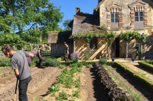 « Versailles, une révolution au jardin » à revoir sur France 3 lundi 17 juin 2024