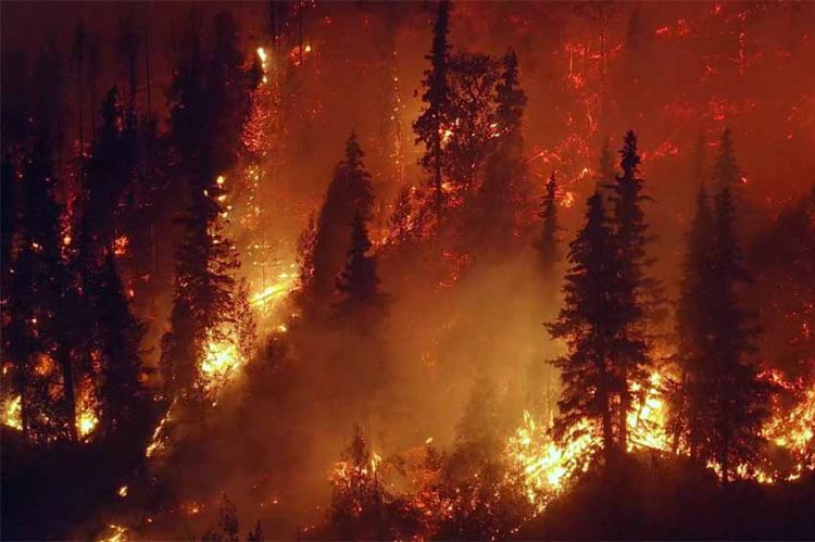 « Mégafeux, canicules, inondations : Quand le climat s’emballe » mardi 13 septembre sur TMC