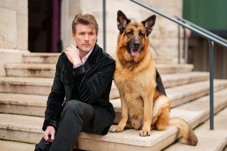 "Hudson et Rex" saison 4 : les 4 derniers épisodes sur France 3 dimanche 13 août 2023