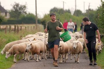 « Les agités du bocage » lundi 31 octobre 2022 sur France 3 dans “La ligne bleue”