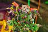 Finale de &quot;Mask Singer&quot; samedi 22 juin 2024 sur TF1 entre Épouvantail, Hippopotame Léopard