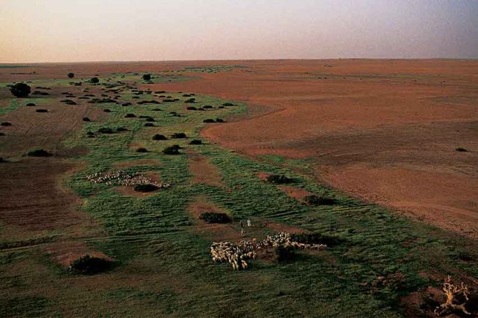 L&#039;Algérie vue du ciel par Yann Arthus-Bertrand, bientôt sur RMC Découverte