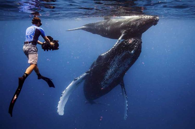 « Planète animale, les jeux de l'amour » : le making-of, mardi 8 février sur France 2