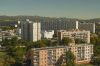 &quot;Grands Reportages&quot; : Immersion au cœur du trafic de drogue à Marseille dimanche 14 mai 2023 sur TF1