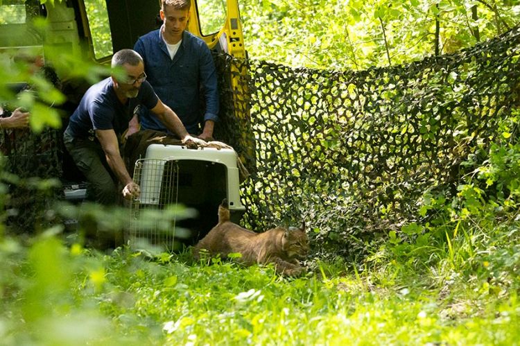 “Sur le front des animaux menacés” avec Hugo Clément, mardi 30 juin sur France 2 (vidéo)