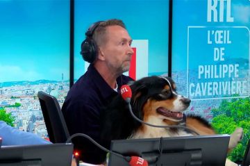 Replay &quot;L&#039;oeil de Philippe Caverivière&quot; du 13 novembre 2025 face à Anne Hidalgo (vidéo)