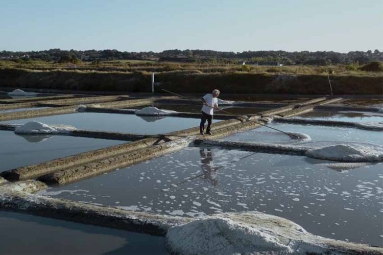 “La ligne bleue” : « Guérande, un peu de la beauté du monde » lundi 18 avril sur France 3