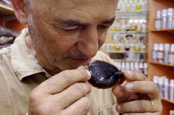 "Reportages découverte" : A la recherche de la perle rare, samedi 3 janvier 2026 sur TF1