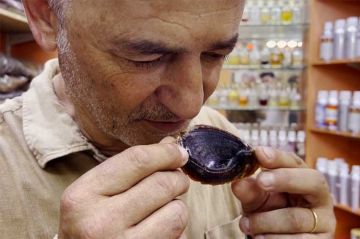 "Reportages découverte" : A la recherche de la perle rare, samedi 3 janvier 2026 sur TF1