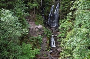 “Sale temps pour la planète” : « Vosges, coup de chaud sur le massif » mercredi 10 août sur France 5 (vidéo)