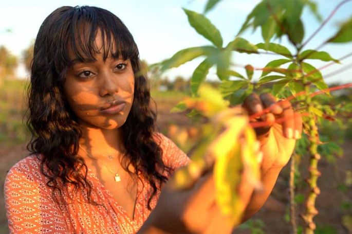 « L&#039;Afrique, les OGM et Bill Gates » mardi 21 juin sur ARTE