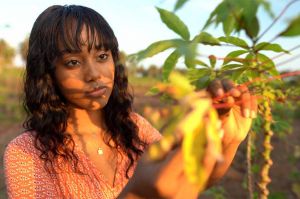 « L&#039;Afrique, les OGM et Bill Gates » mardi 21 juin sur ARTE
