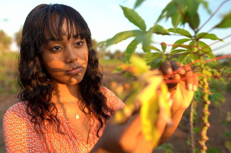 « L'Afrique, les OGM et Bill Gates » mardi 21 juin sur ARTE