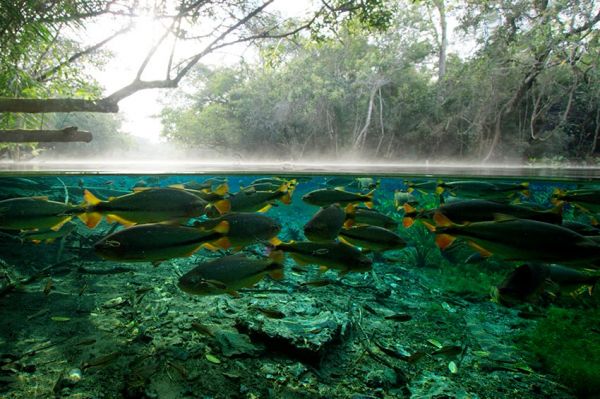 « H2O : l'eau, la vie et nous », série en 3 volets à découvrir sur ARTE samedi 28 novembre (vidéo)