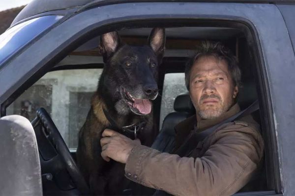 "Le voyageur - La femme oubliée" sur France 3 samedi 10 mai 2025 avec Bruno Debrandt (vidéo)